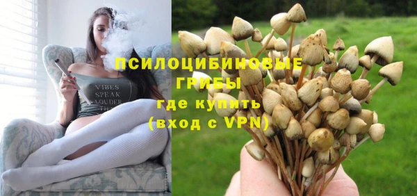 трава Киренск